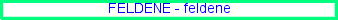 What is feldene